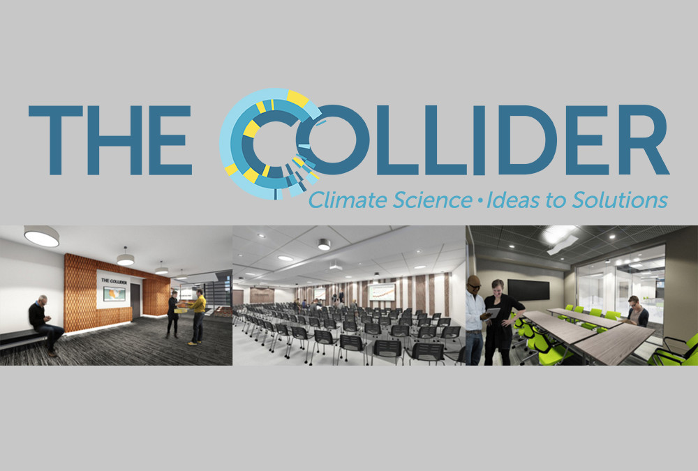 The Collider