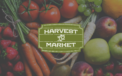 Harvest to Market